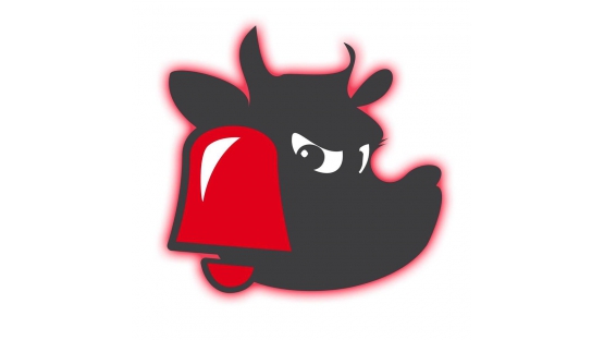 Sigue en Directo la retransmision de La Vaca Gigante by Oakley  Cantabria