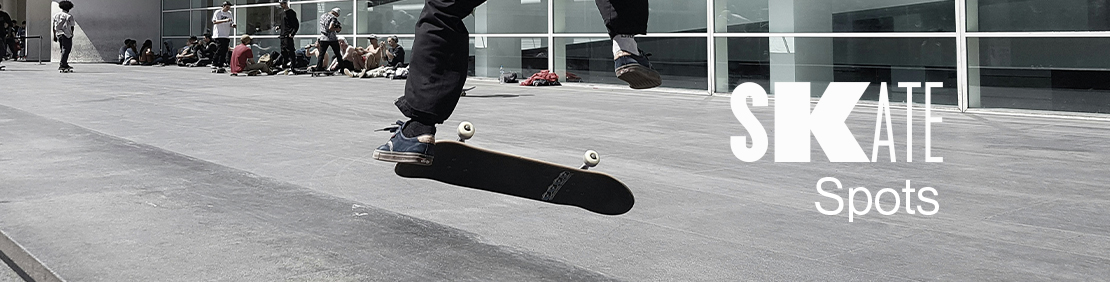 Spots Skate